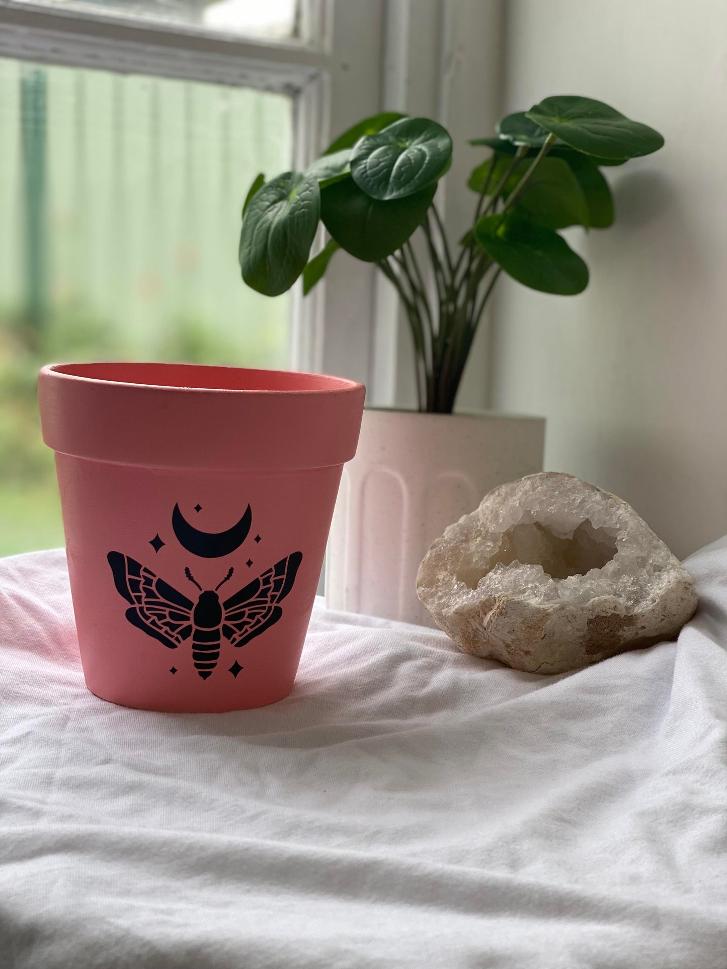 Pink Moth Moon Plant Pot